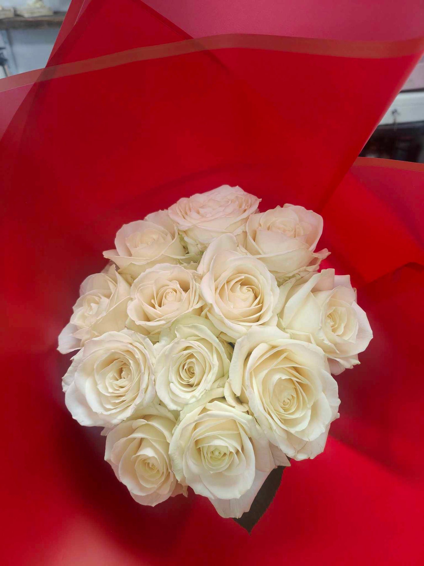 A Dozen White Roses